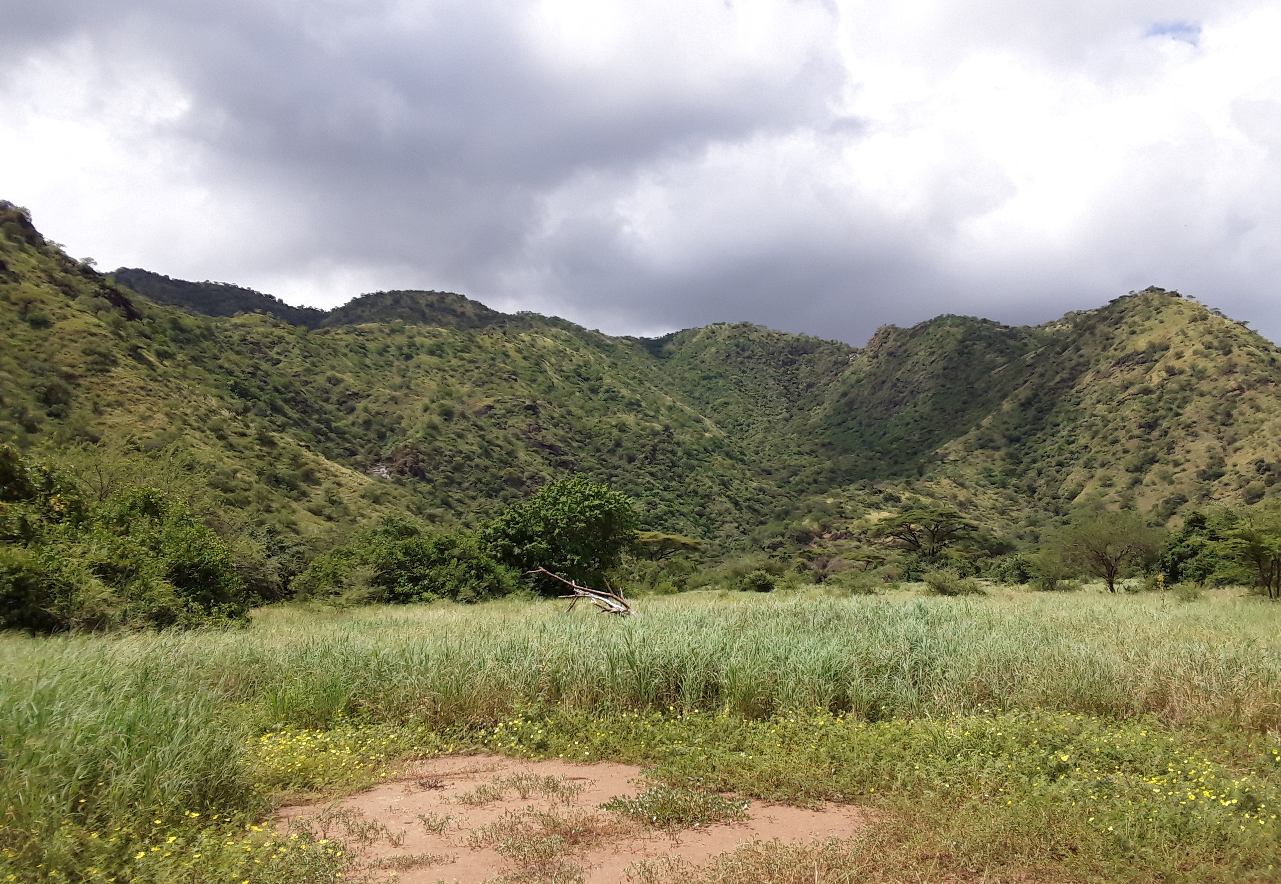 ‎Das strategisch ausgewählte Stück Land für das geplante Friedensdorf liegt direkt am Fuß des ‎Berges, über den die Menschen die Landesgrenze passieren.‎