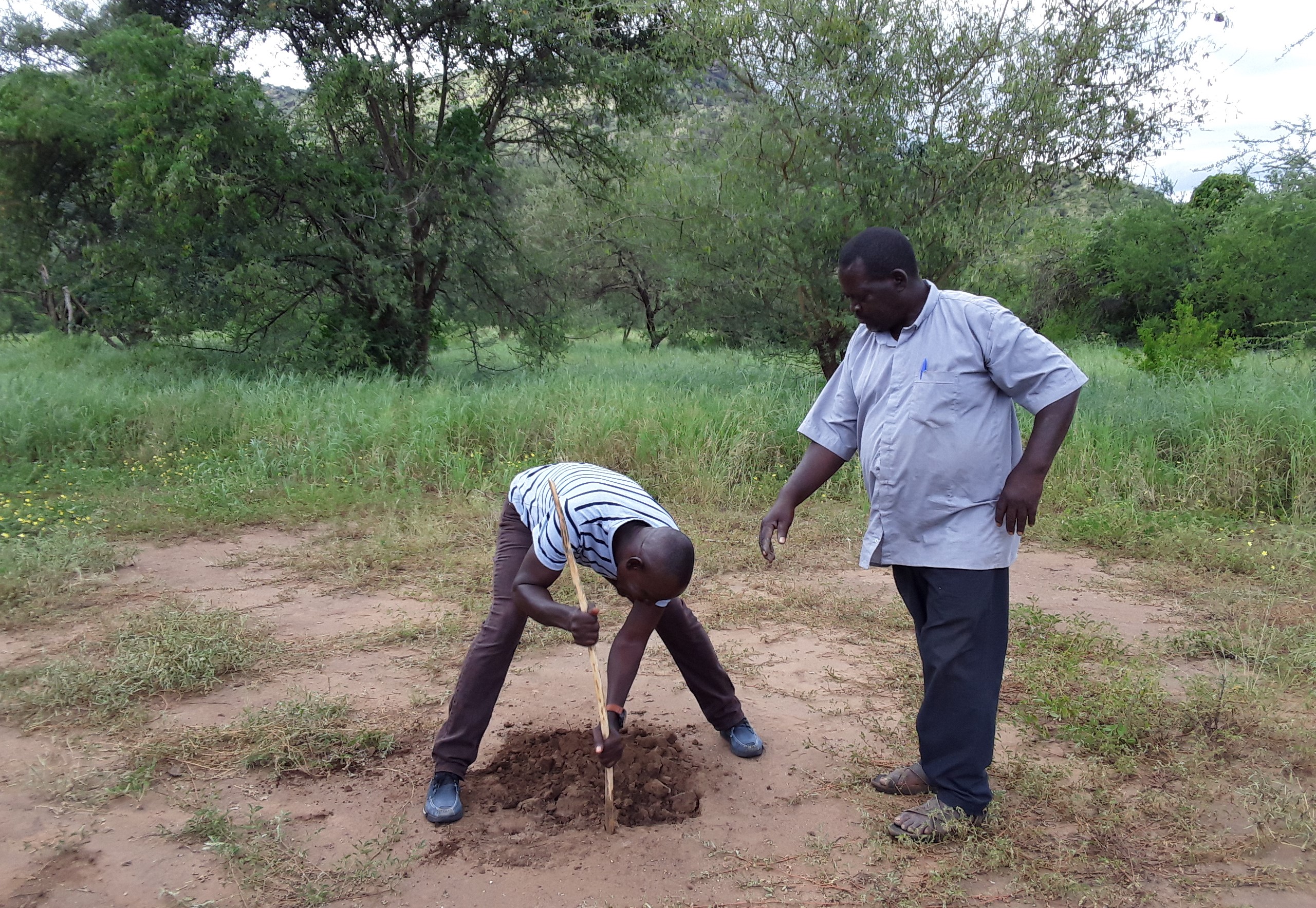 Begutachtung der Bodenbeschaffenheit des Landes.‎