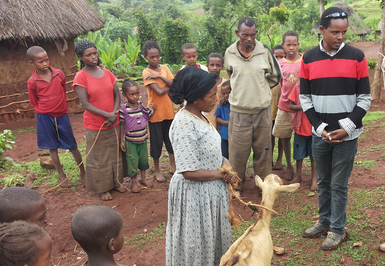 Beratung zur Einkommenssteigerung für alleinstehende Frauen in Kindokosha/Südäthiopien.‎