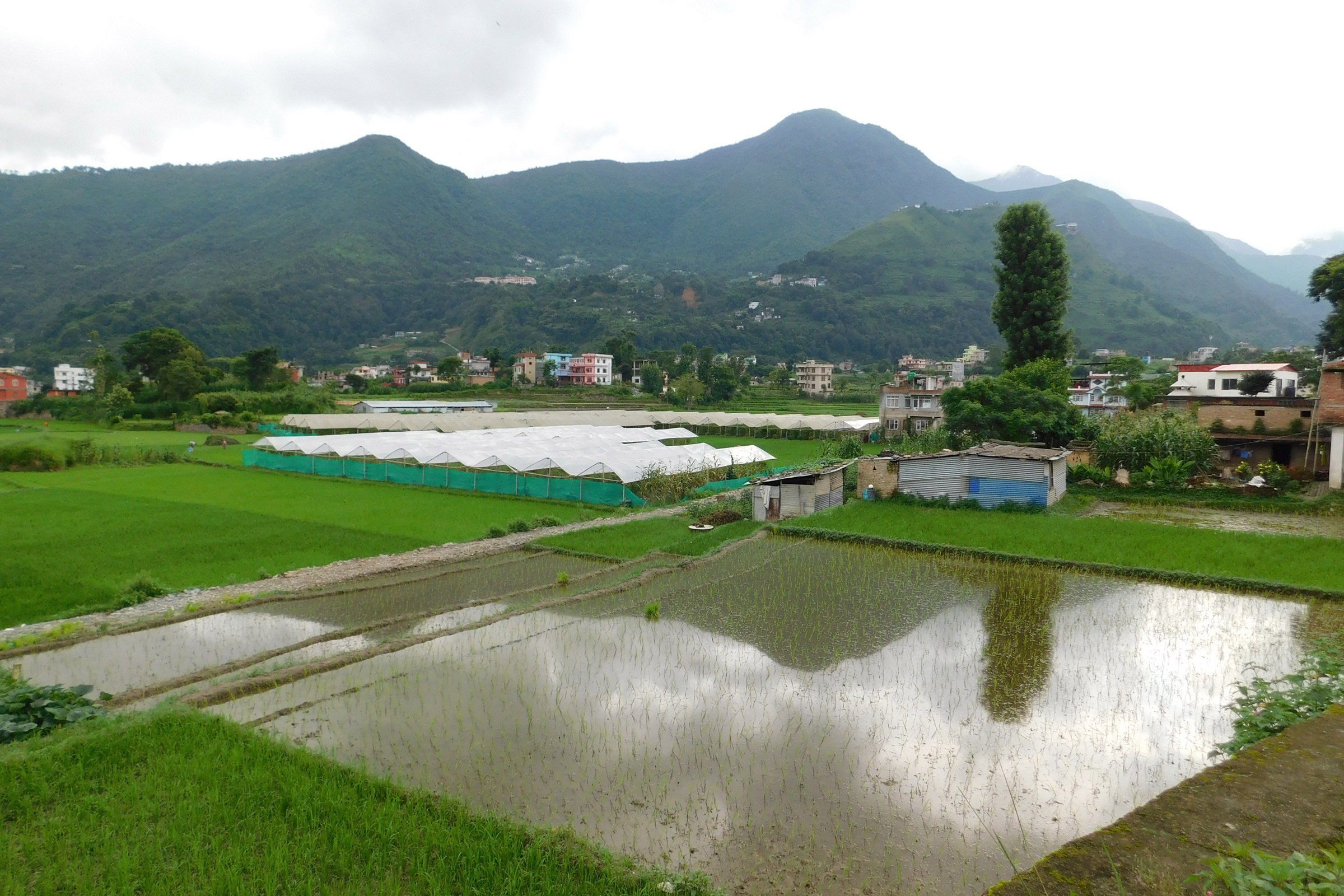 Blick auf die Berge im Kathmandu-Tal