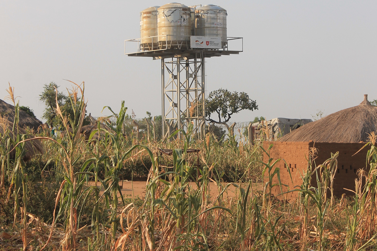 Der Mais vertrocknet auf den Feldern. Eine Hungerkrise steht bevor.