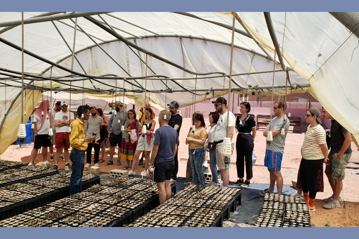 URI MENA und Desert Bloom Cooperation Circle hosten Teilnehmer*innen einer Studiengruppe eine Woche lang zum Thema "Peace of Mind". Hier setzen sie bei einem Workshop Pflanzen gegen Desertifikation (Wüstenbildung).
