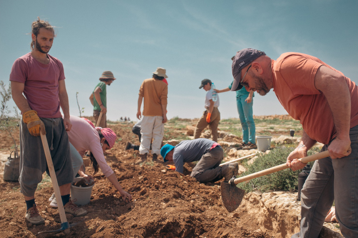 Umweltschutzprojekt im Jordantal mit palästinensischen und israelischen Aktivisten. Das Projekt wird von der EU gefördert.