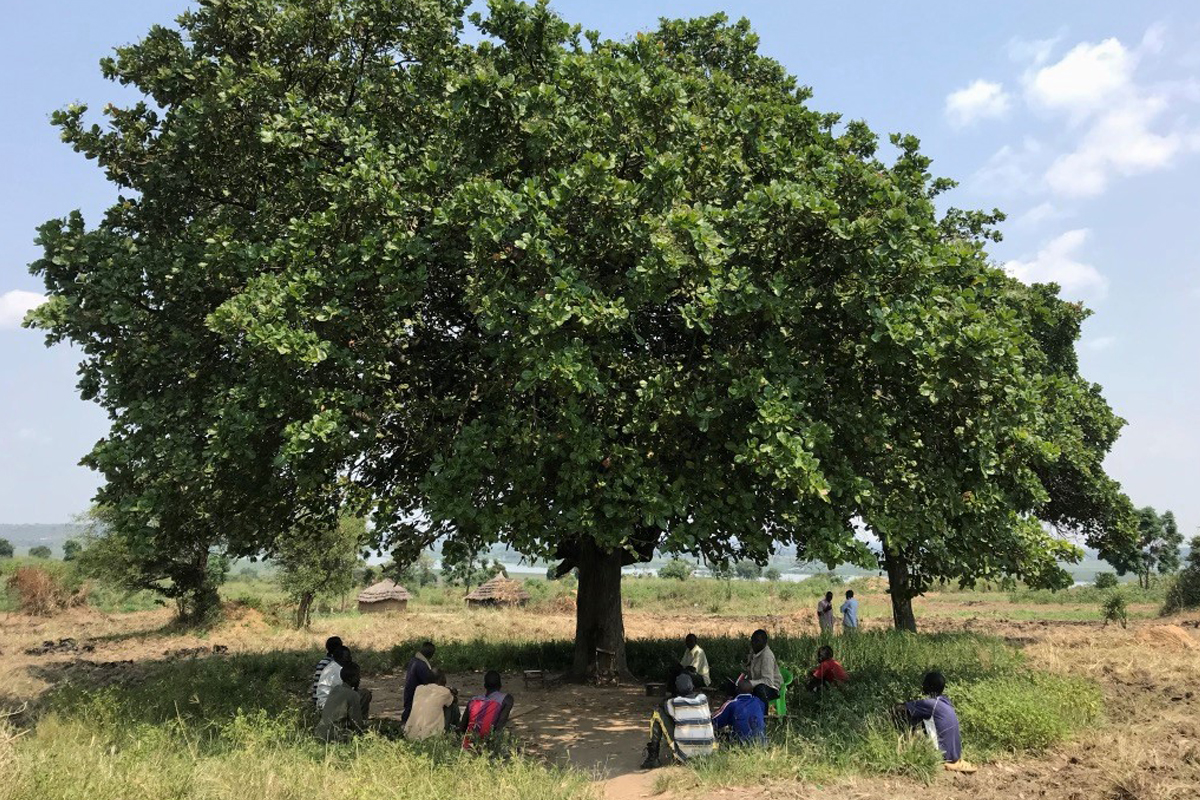 Der größte Konflikt betrifft Land. Viele Menschen sind auf die Bewirtschaftung des eigenen Bodens zur Ernährung angewiesen. Doch bei ihrer Rückkehr war ihr Land oft besetzt. Verschärft wird die Lage durch Landgrabbing, private Investoren und Korruption.