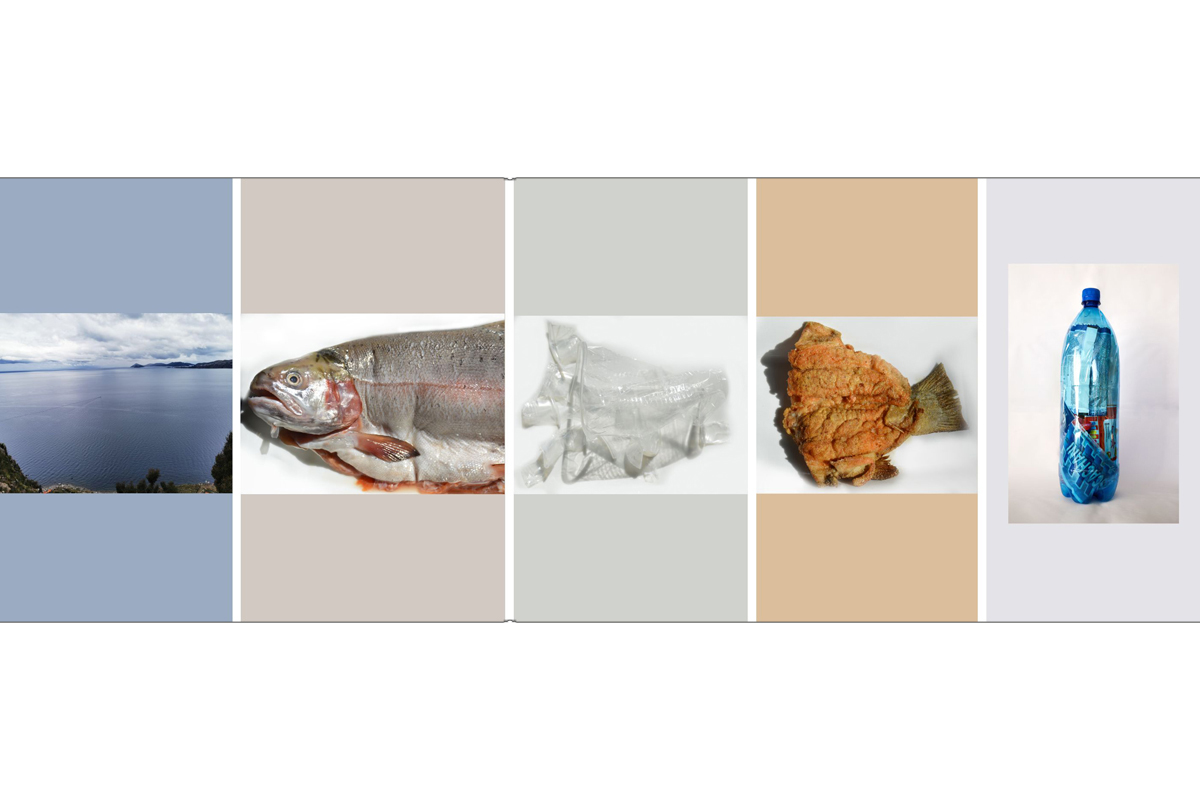 Daniela P. (24) aus Bolivien gewann zusammen mit Anna B. den ersten Platz. Sie zeigt die Schönheit des Titicacasees, der stark vermüllt ist: "Eine Lösung besteht darin, Plastikmüll zu 'Öko-Ziegeln' zu recyceln und als Baustoff zu verwenden."