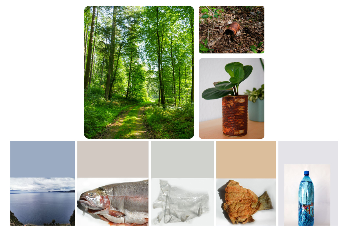 Die beiden ersten Plätze des Fotowettbewerbes gehen an Anna B. aus Deutschland und Daniela P. aus Bolivien.