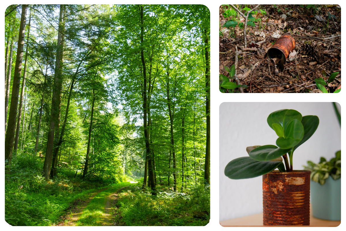 "Wir sollten das schätzen, was wir haben. Recyceln, kreativ werden. Oder wenigstens unseren Müll richtig entsorgen", sagt Anna B. (20), die zusammen mit Daniela P. den ersten Platz des Fotowettbewerbs gewann.