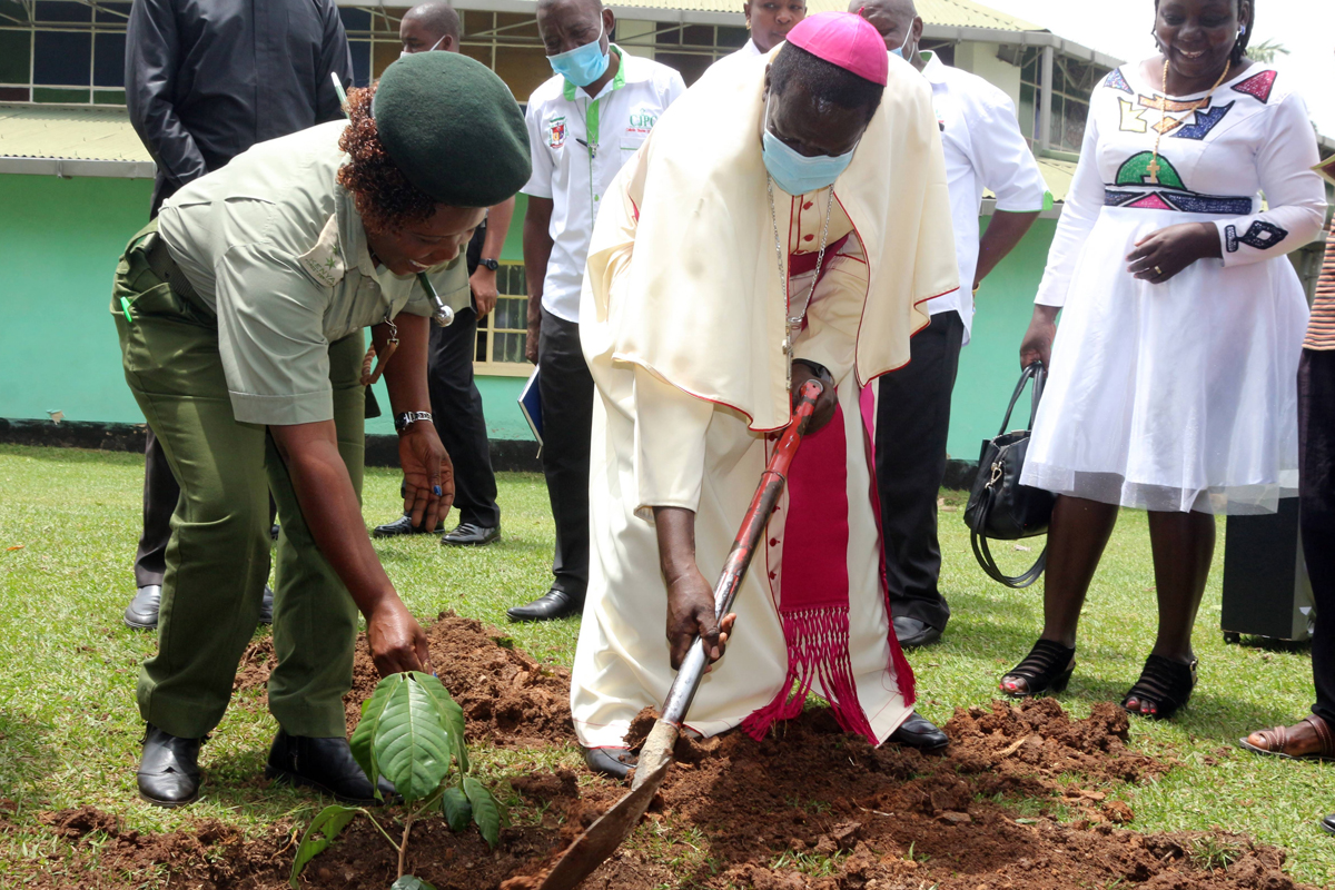 Mit gemeinsamen Baumpflanzaktionen, wie hier an einer Schule in Kakamega, wollen die Partner den Folgen der Abholzung und weiterer Bodenerosion entgegenwirken.