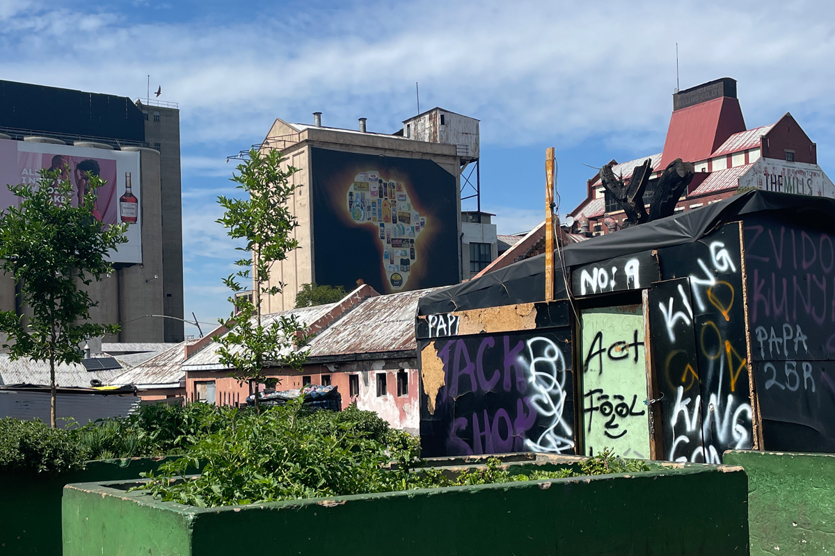 Gemüseanbau in "Afrika", der Informellen Siedlung in Johannesburg.