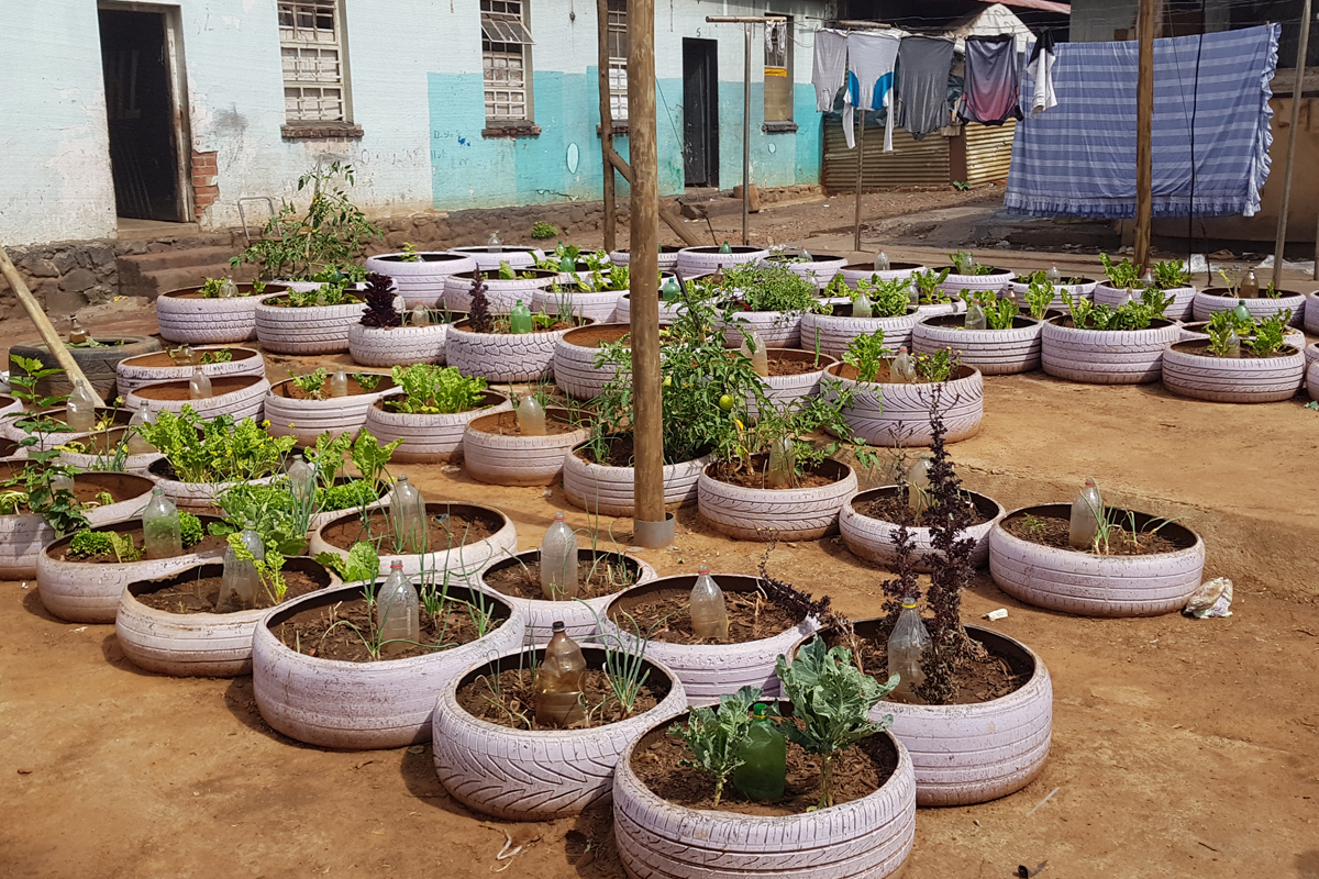 In Autoreifen wird Gemüse angebaut, das zwischen den Bewohner*innen gerecht aufgeteilt wird. Es gibt auch einen selbstorganisierten Kindergarten.