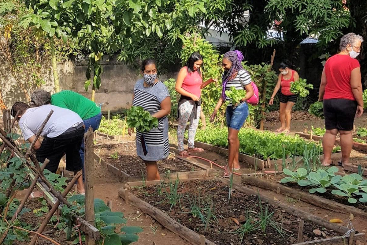 Im Gemeinschaftsgarten des Projektes "Sítio das Crianças/Projekt der Kinder" pflegen die Familien die Obstbäume und die Gemüsebeete und können die Ernte mitnehmen. Sie lernen praxisnah mit der Natur sensibel und verantwortungsvoll umzugehen, Müll und Umweltverschmutzung zu reduzieren.