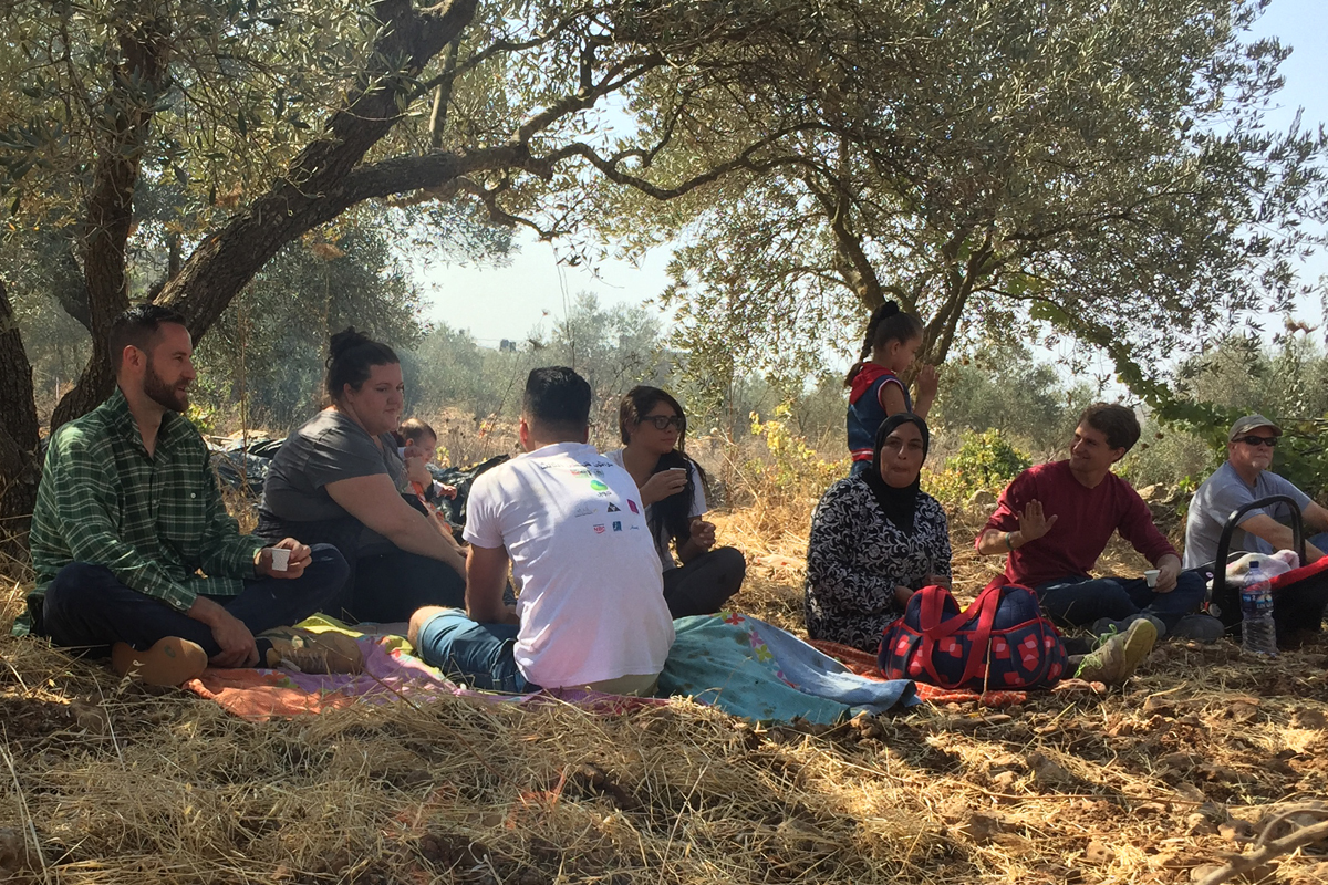 Die Olivenernte-Initiative des Holy Land Trust ist eines der am längsten laufenden Programme; kombiniert wird sie mit einer Informationsreise für die internationalen freiwilligen Helfer*innen.