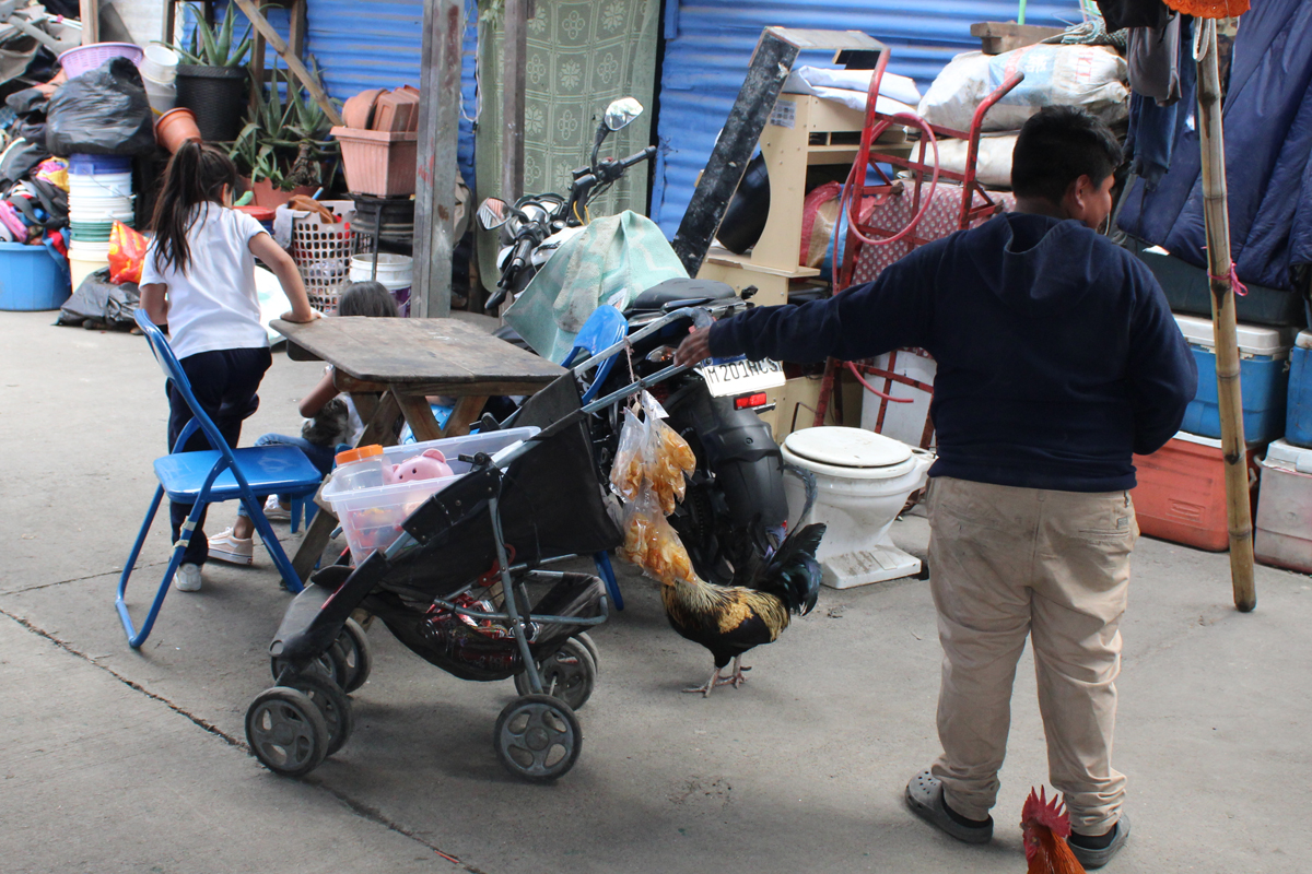 Kinder, die die Schule abbrechen, um ihre Eltern bei der Arbeit zu unterstützten, sind ein allgegenwärtiges Bild in Guatemala.