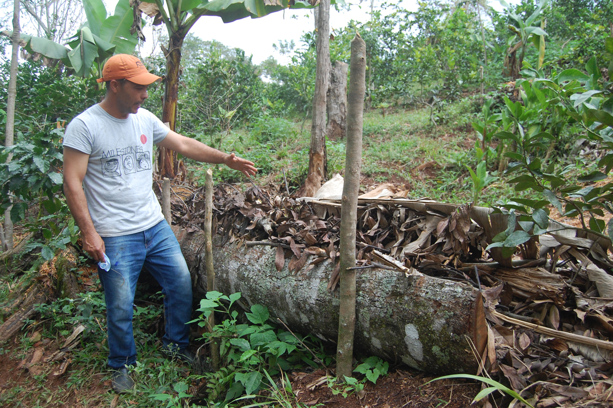 Projektteilnehmer Rafael Torres erklärt die Funktionsweise der Totholz-Barrieren, die er auf seiner Parzelle in La Cavirma/Dominikanische Republik angelegt hat.