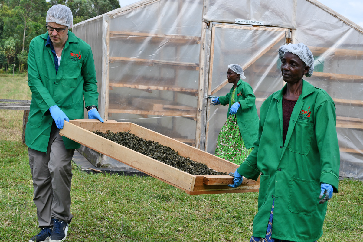 Solartrocknung von Blattgemüsen – ein Beitrag zu Klimaschutz und gesunder Ernährung, der Arbeitsplätze für Frauen schafft. Henning Schwarz trägt mit einer Saisonarbeiterin von IREN Growth-Pad Ltd. die Ware zur Verpackung.