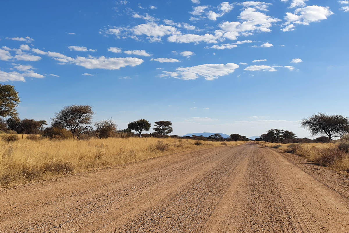 Namibia liegt im Südwesten des afrikanischen Kontinents. Das Land ist zweieinhalb mal so groß wie Deutschland, hat aber nur 2,6 Millionen Einwohner*innen. Nach der Mongolei ist Namibia der am dünnsten besiedelte Staat der Welt. Die Straßen führen durch unendlich anmutende Weiten.