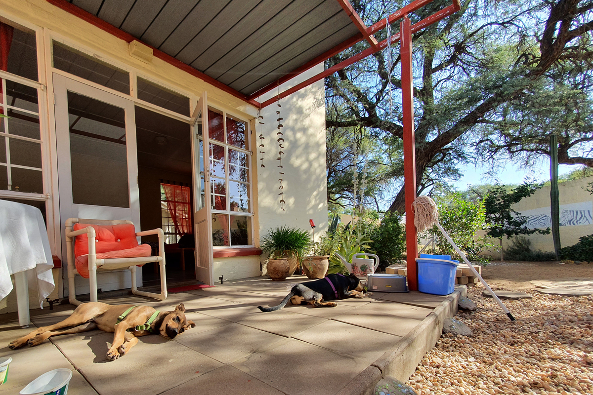 Meditation, Dankbarkeit für die kleinen Momente und die Feststellung, dass sie sich in Namibia sehr geborgen fühlte – damit konnte Beate Etzel ihre Resilienz angesichts von Herausforderungen und Krisen stärken.