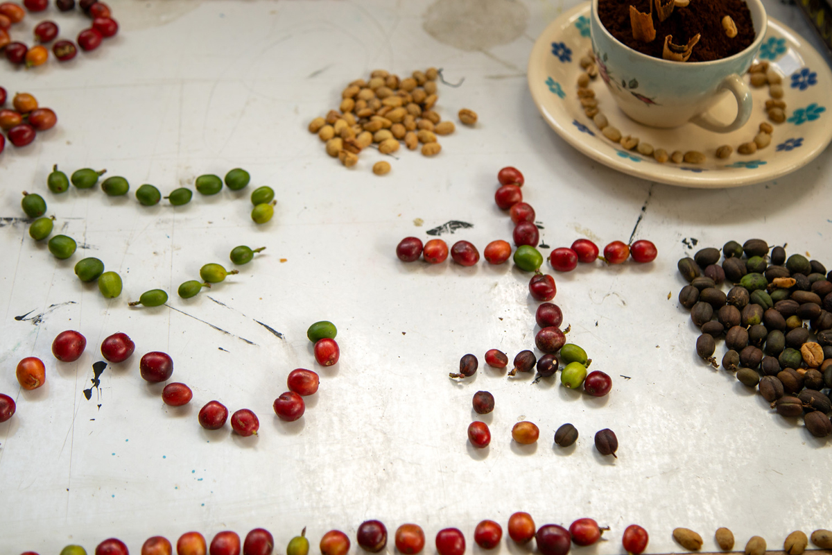 Kaffee in allen Stadien seiner Produktion - von der Bohne bis zum gemahlenen Kaffee. Ein Einblick in den lokalen Produktionsprozess.