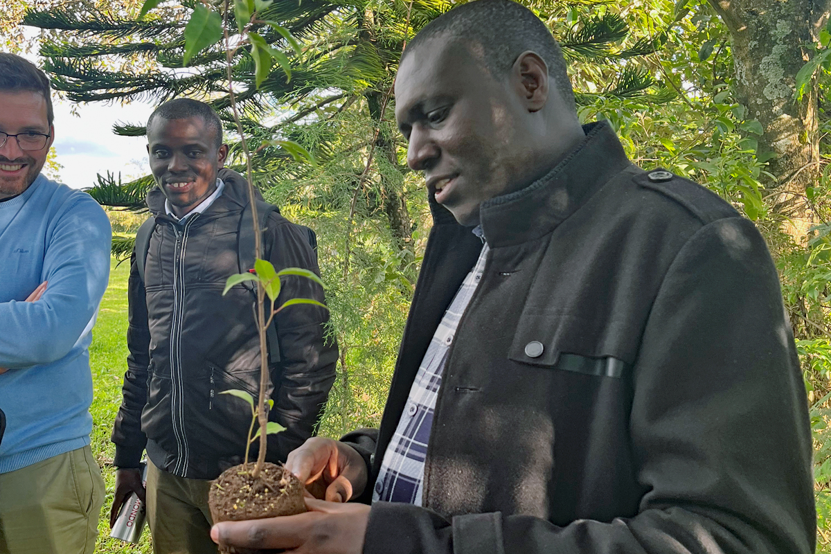 Ein Mann begutachtet einen jungen Baum in seiner Hand, zwei weitere Männer schauen ihm zu.